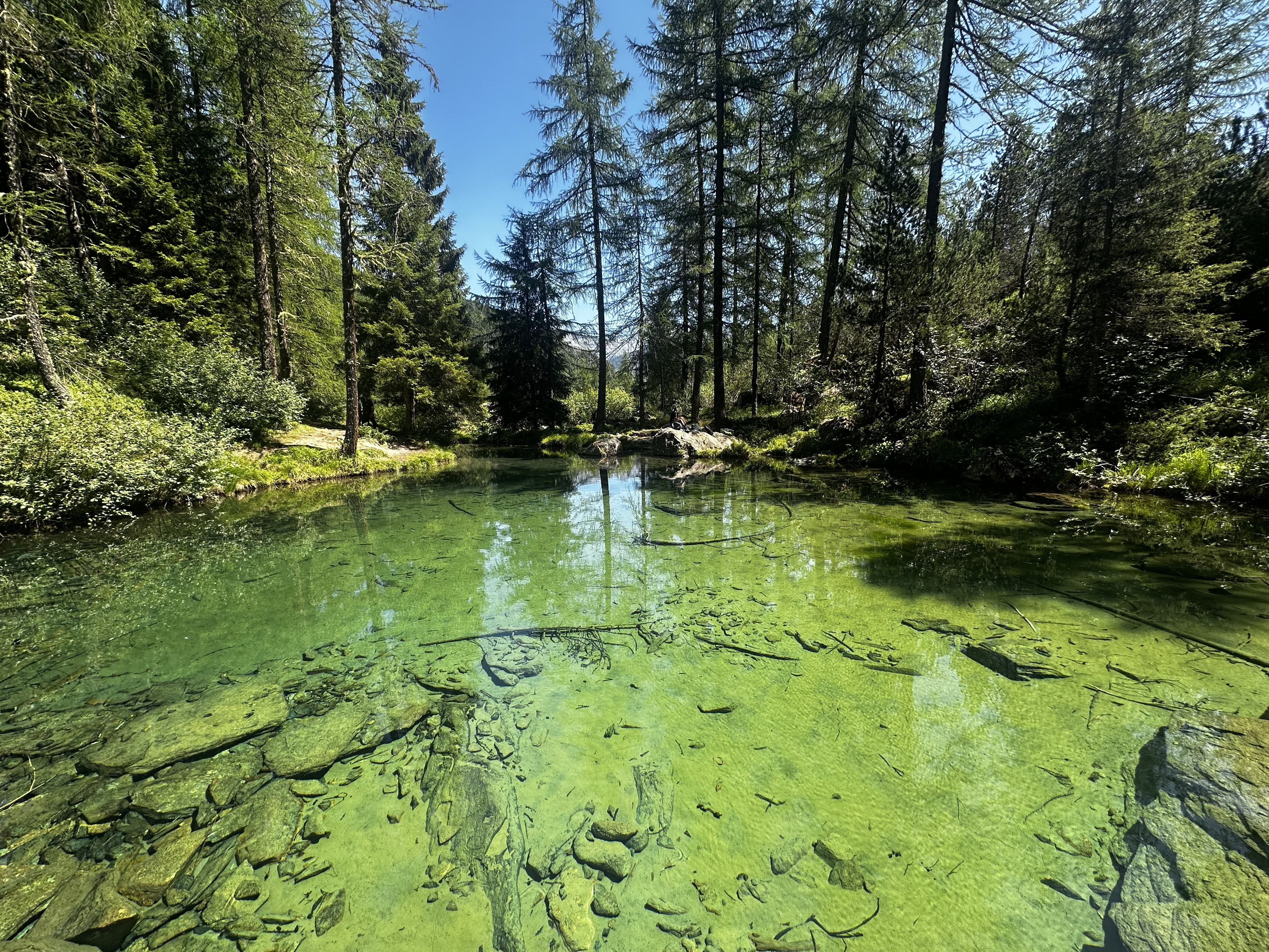 Lago Pirlo